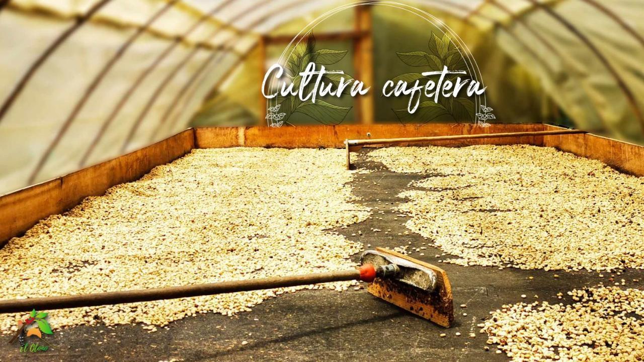 Finca Tradicional El Otono Pijao Exteriér fotografie