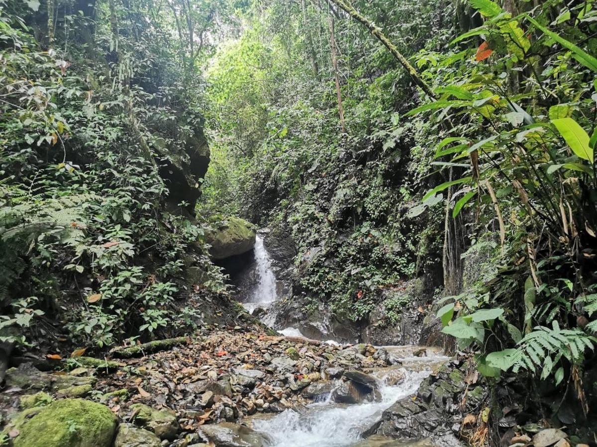 Finca Tradicional El Otono Pijao Exteriér fotografie