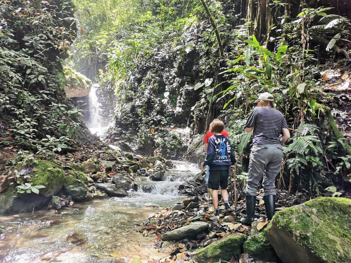 Finca Tradicional El Otono Pijao Exteriér fotografie