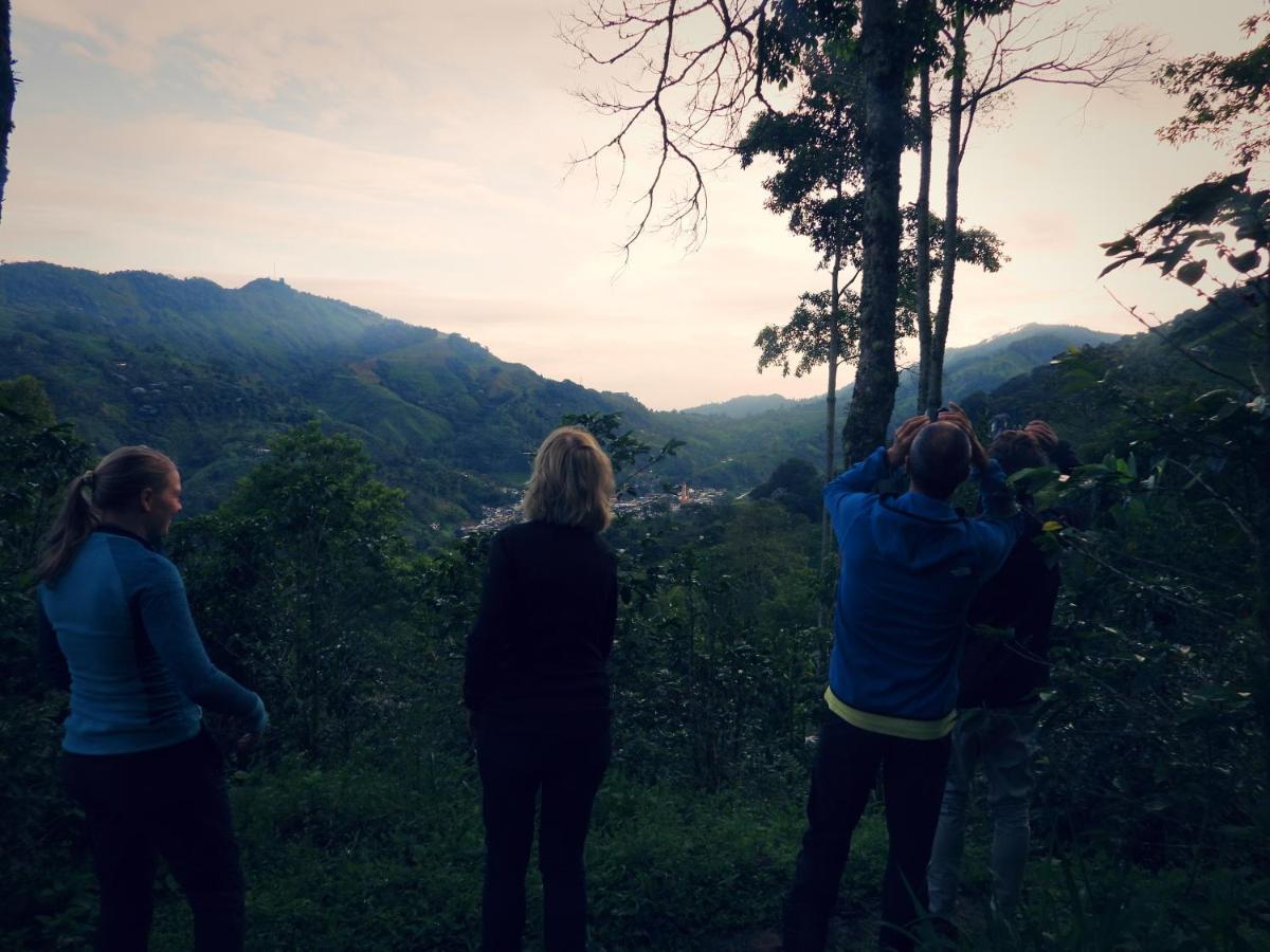 Finca Tradicional El Otono Pijao Exteriér fotografie