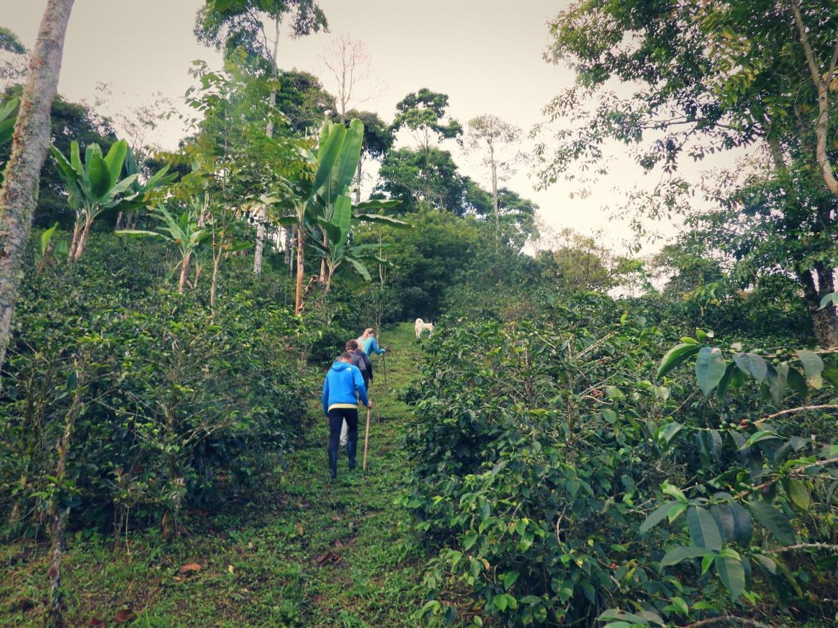 Finca Tradicional El Otono Pijao Exteriér fotografie