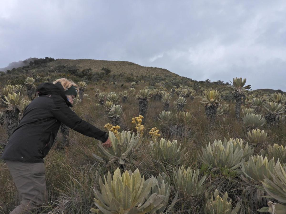 Finca Tradicional El Otono Pijao Exteriér fotografie
