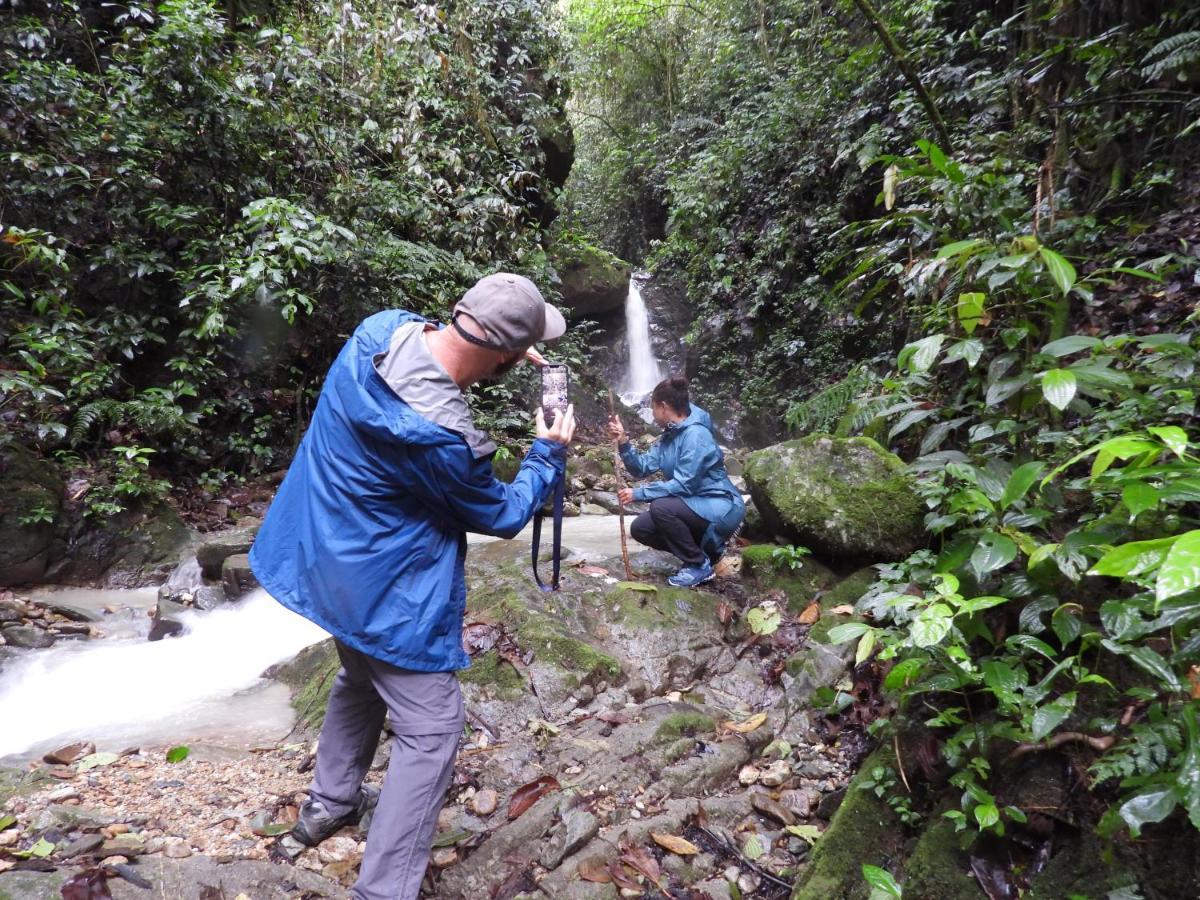 Finca Tradicional El Otono Pijao Exteriér fotografie