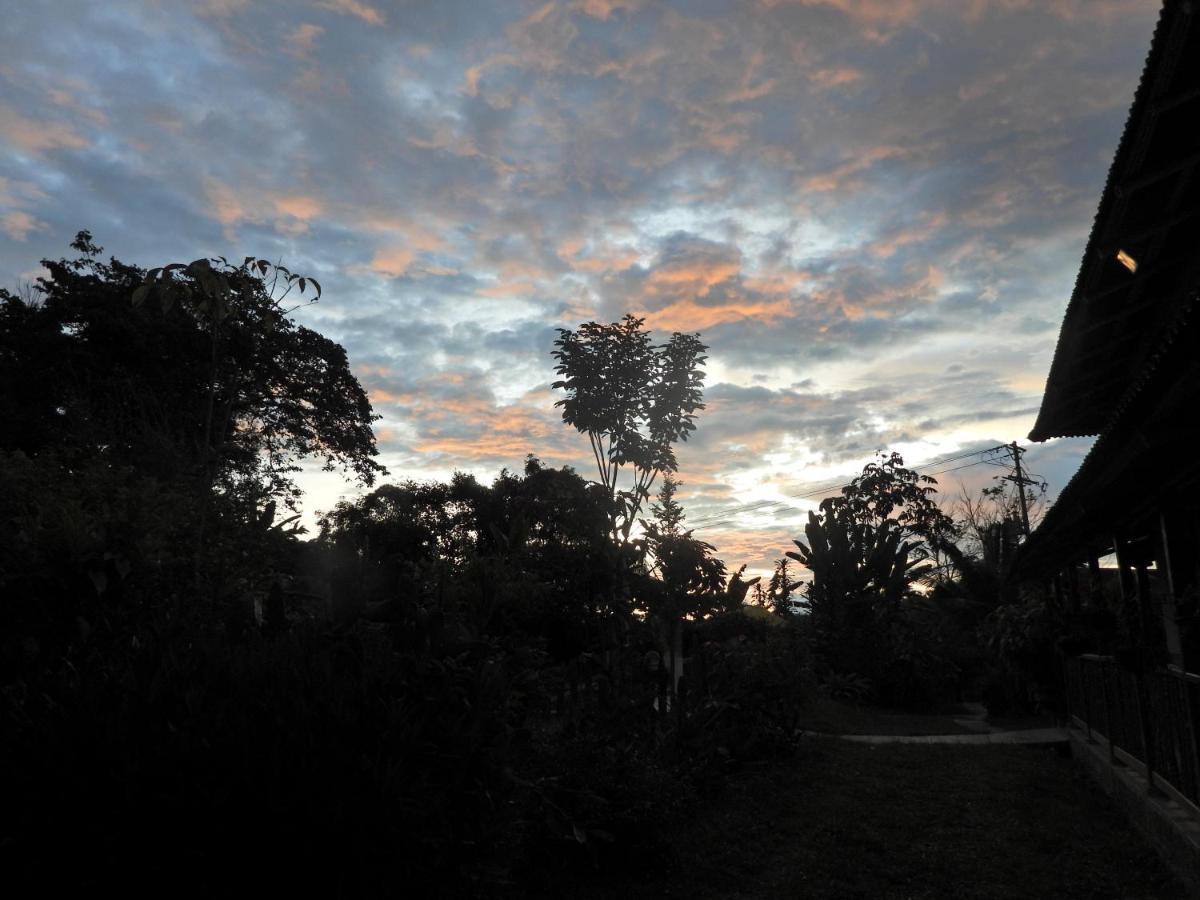 Finca Tradicional El Otono Pijao Exteriér fotografie